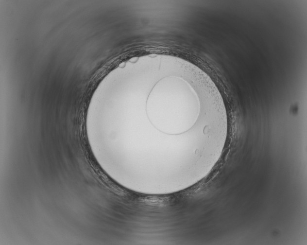 X0000115080370200912081217