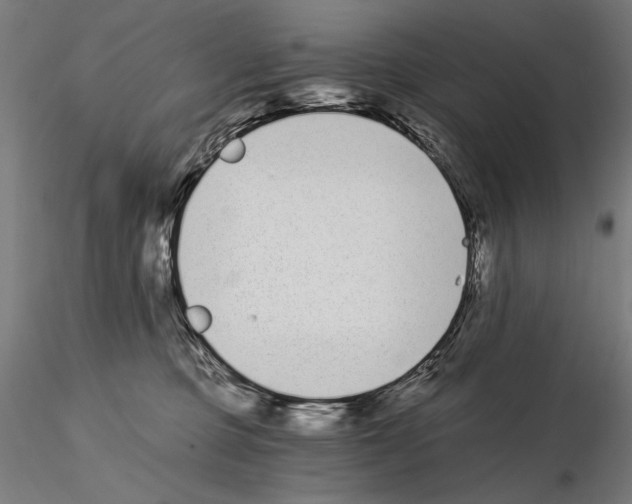 X0000115080373200912081217