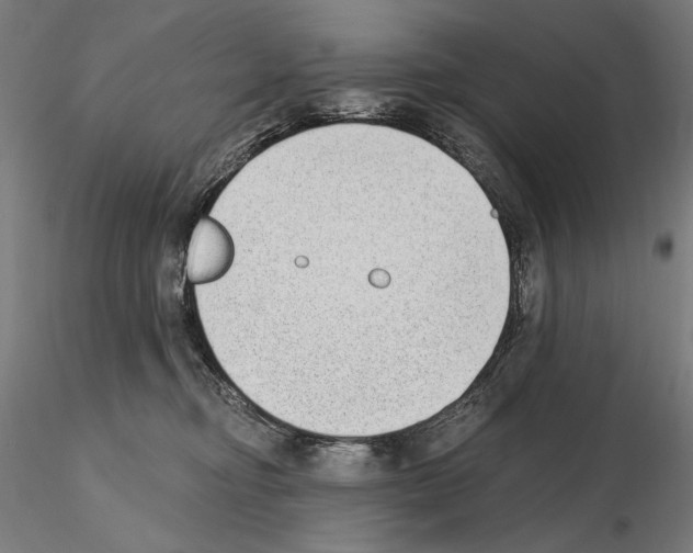 X0000115080374200912081217