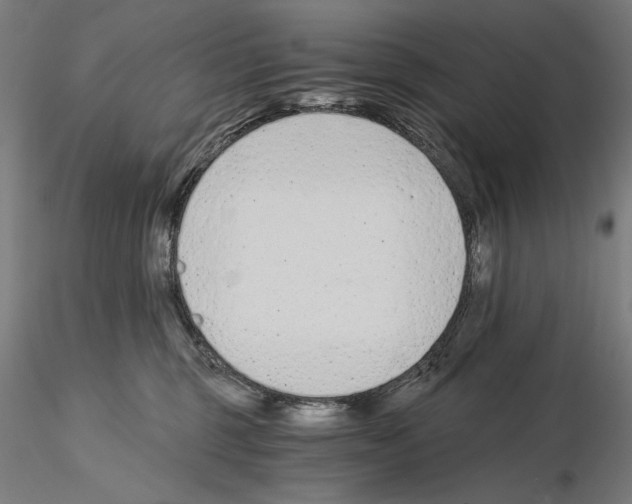 X0000115080375200912081217