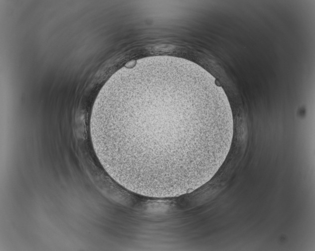 X0000115080378200912081217