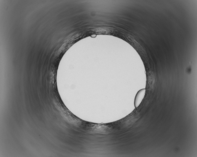 X0000115080379200912081217