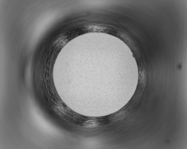 X0000115080381200912081217