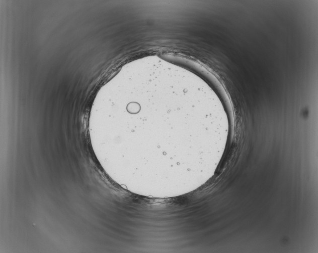 X0000115080382200912081217