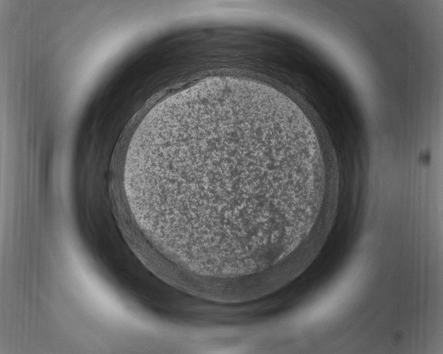 X0000115080383200912081217