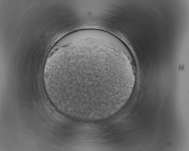 X0000115080385200912081216