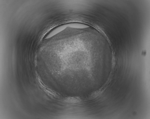 X0000115080386200912081216