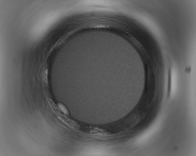 X0000115080387200912081216