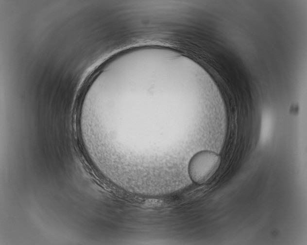 X0000115080388200912081216