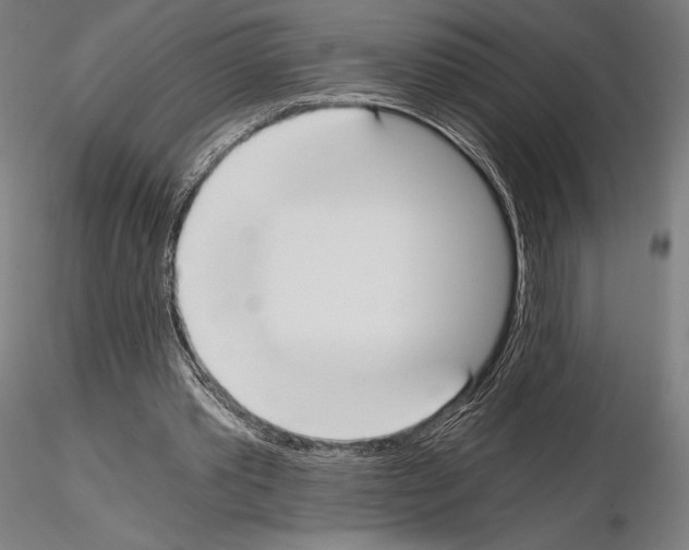 X0000115080389200912081216