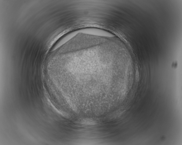 X0000115080390200912081216