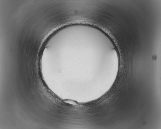 X0000115080391200912081216