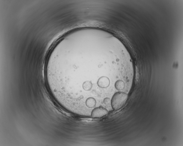 X0000115080392200912081216