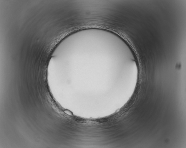 X0000115080393200912081216