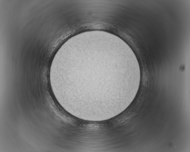 X0000115080394200912081216