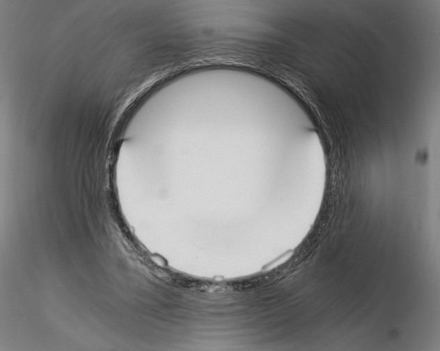 X0000115080395200912081216