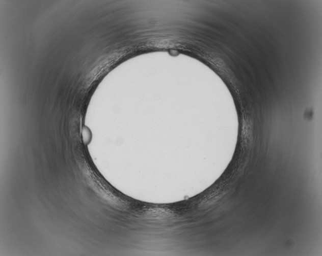 X0000115080397200912081216