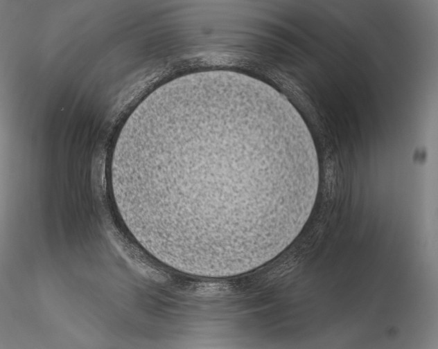 X0000115080398200912081216