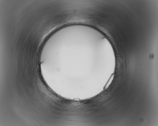 X0000115080399200912081216