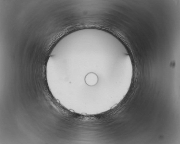 X0000115080401200912081216