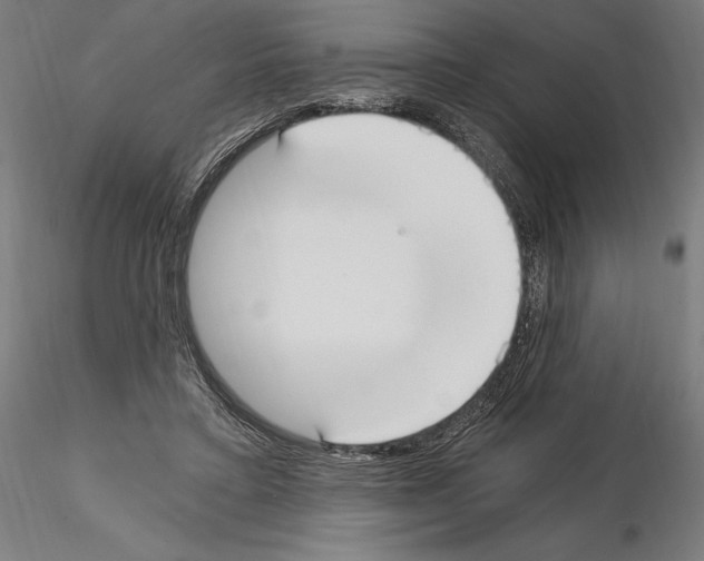 X0000115080403200912081216