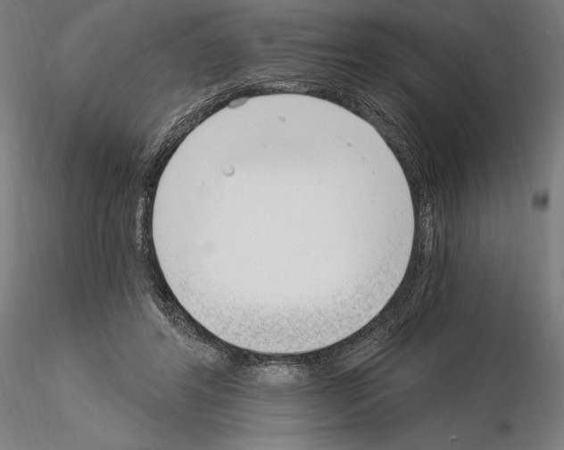 X0000115080404200912081216