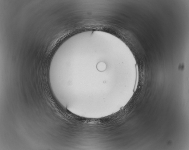 X0000115080407200912081216