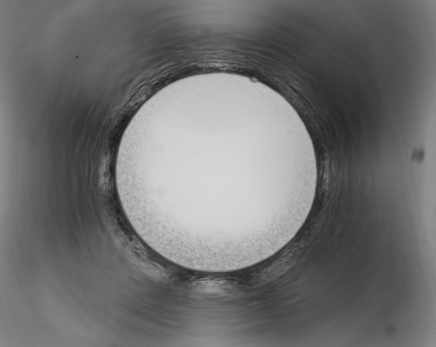 X0000115080408200912081216