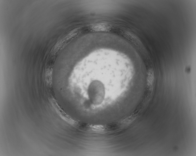 X0000115080409200912081216