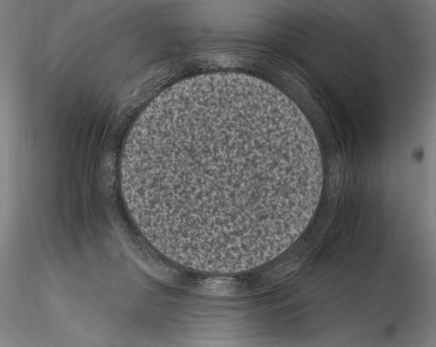 X0000115080410200912081216