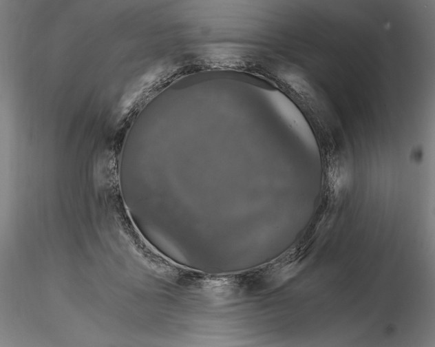 X0000115080411200912081216