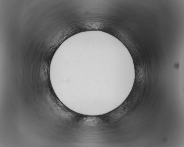 X0000115080414200912081216