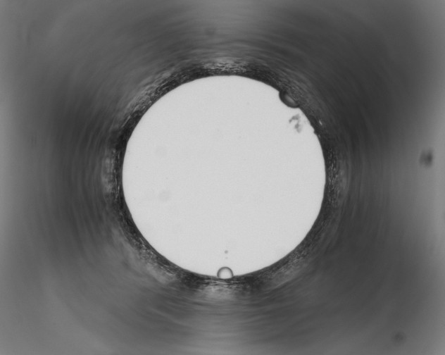 X0000115080416200912081216