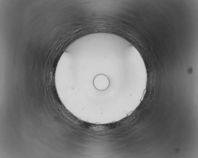 X0000115080417200912081216