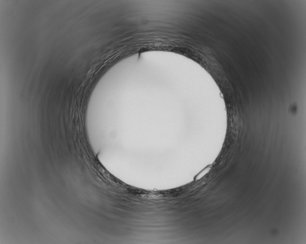 X0000115080419200912081216