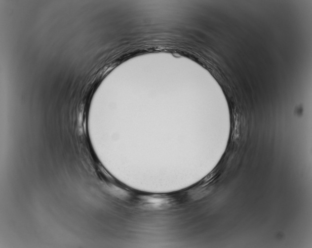 X0000115080420200912081216