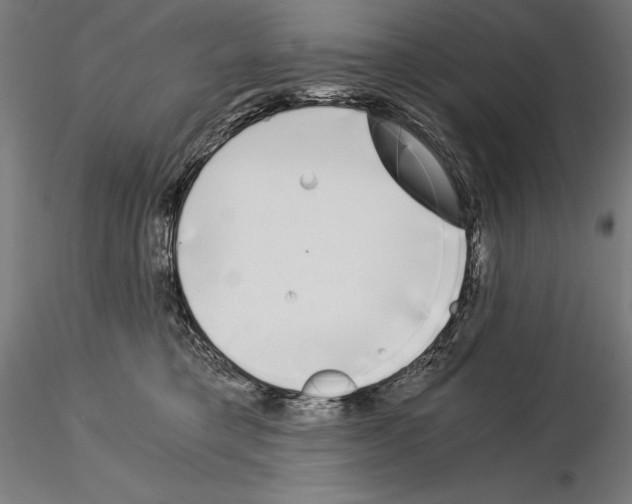 X0000115080421200912081216