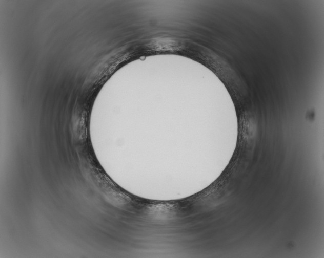 X0000115080422200912081216