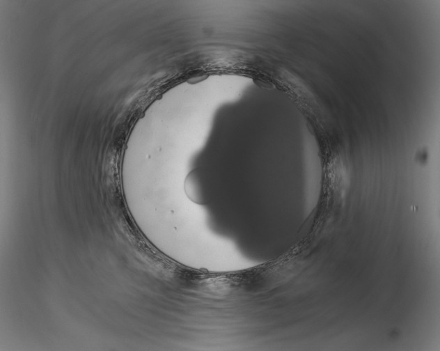 X0000115080423200912081216