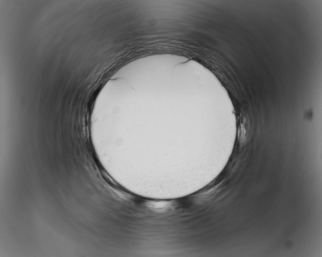 X0000115080424200912081216