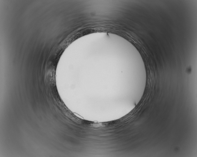 X0000115080425200912081216