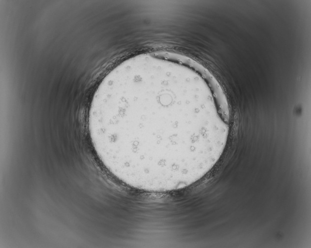 X0000115080428200912081215