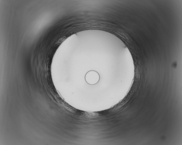 X0000115080429200912081215