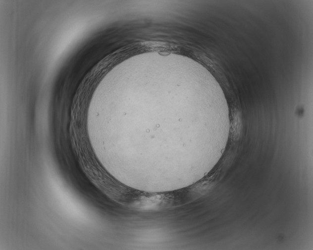 X0000115080430200912081215