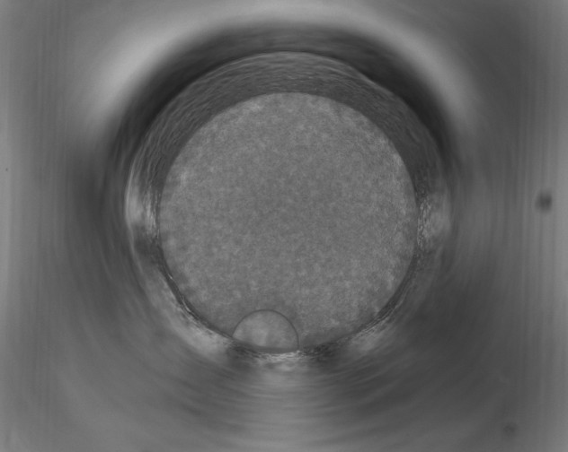 X0000115080431200912081215