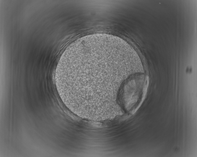 X0000115080432200912081215