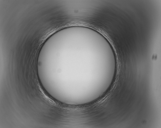 X0000115080433200912081215