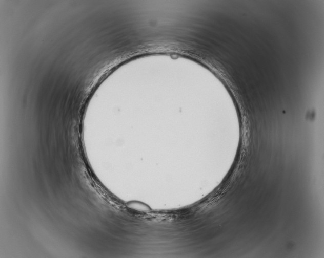 X0000115080434200912081215