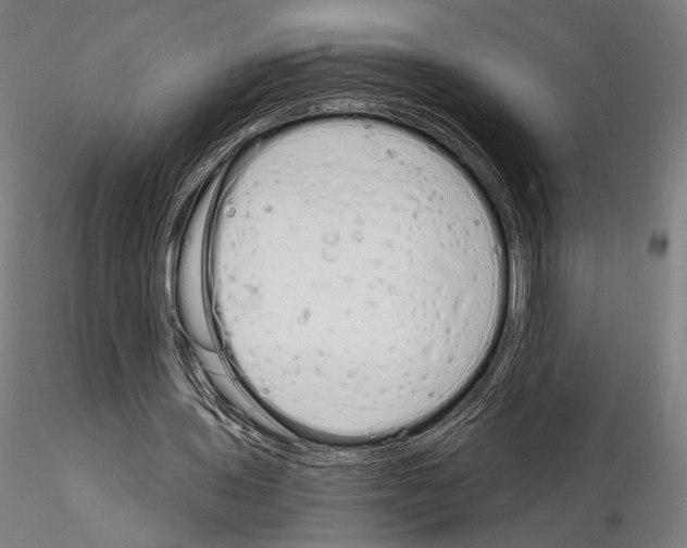 X0000115080435200912081215