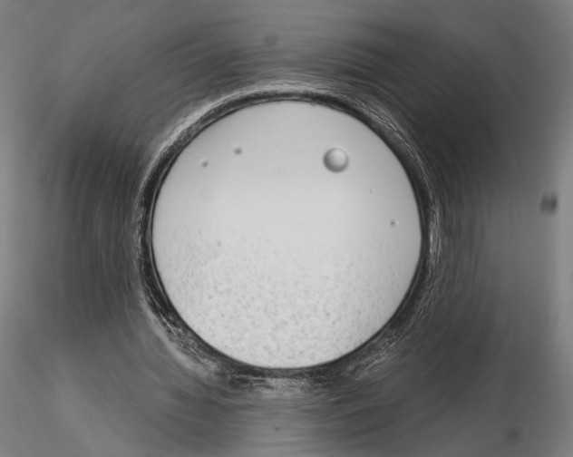 X0000115080436200912081215